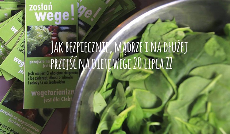 Jak bezpiecznie, mądrze i na dłużej przejść na dietę wege?